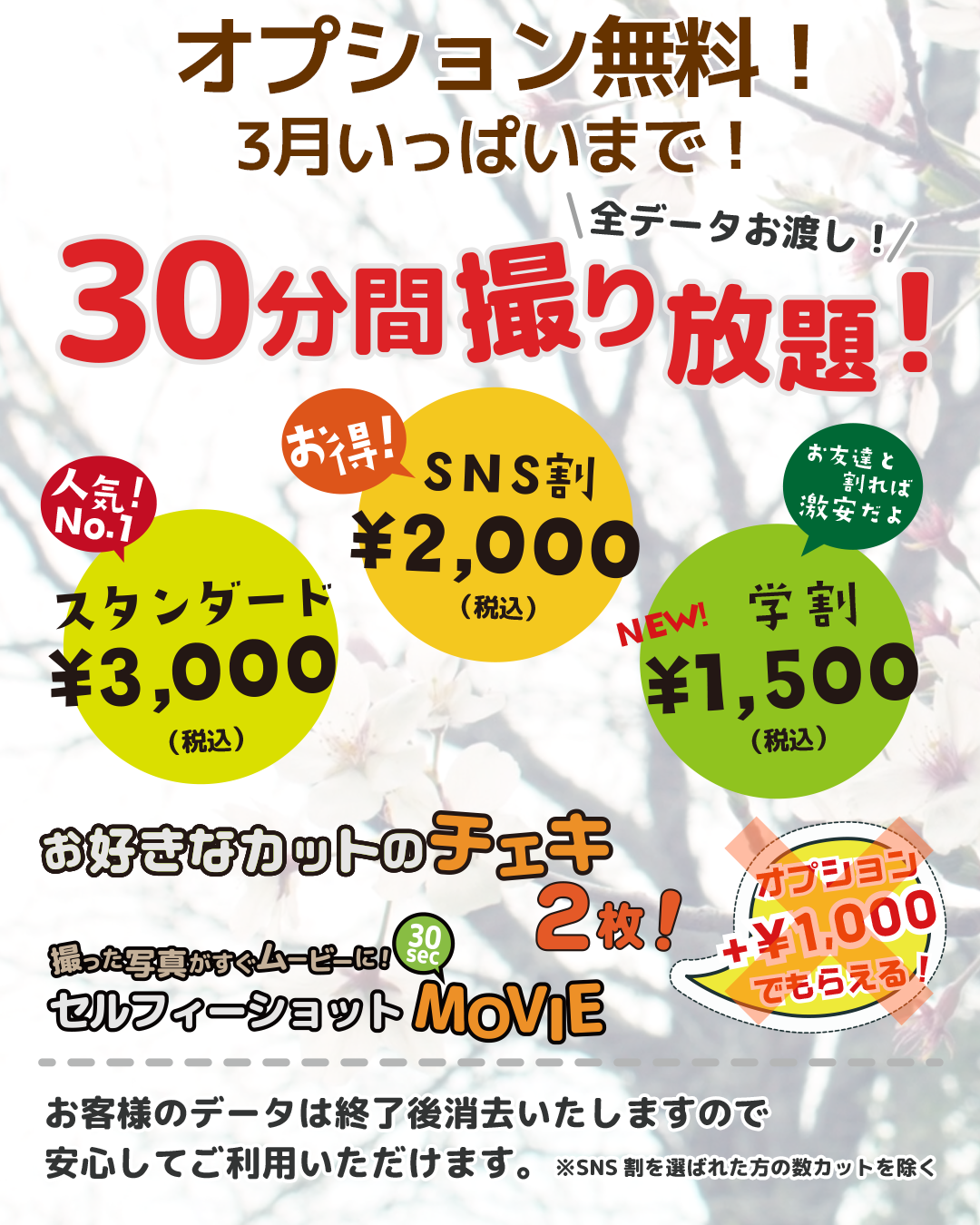 3月いっぱいまで、オプション無料！